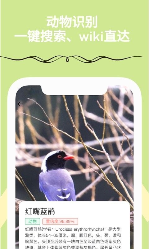 满分扫描王安卓版