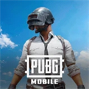 pubg轻量版直装科技