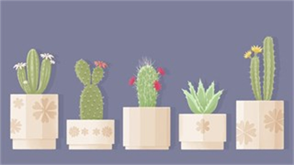 往左一点看星星dlc23838