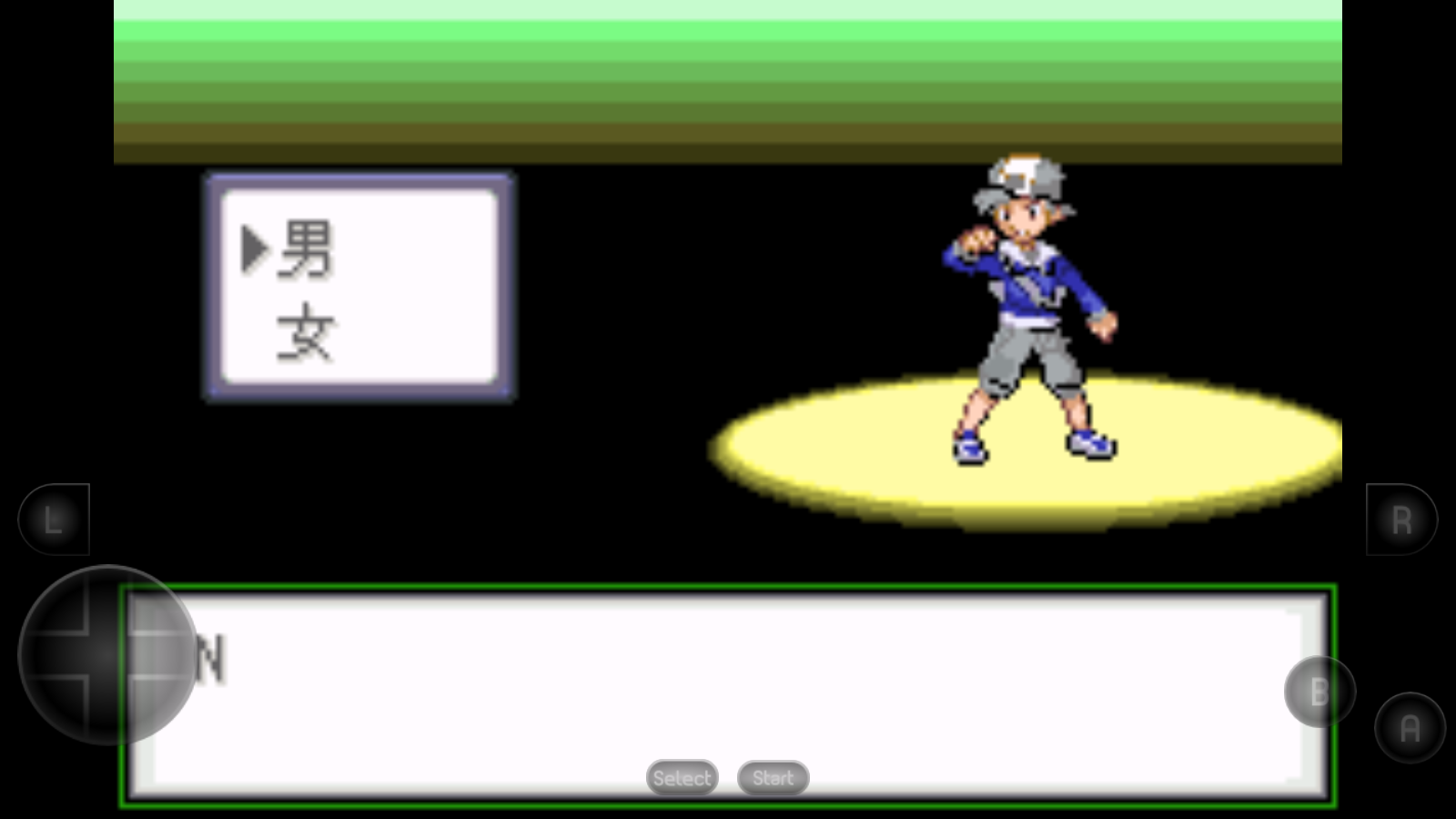 口袋妖怪生与死23902