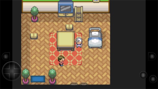 口袋妖怪生与死