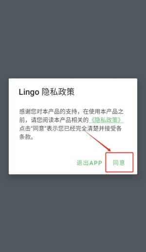 Lingo实时翻译