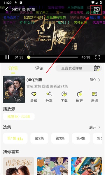 橘猫4K追剧软件