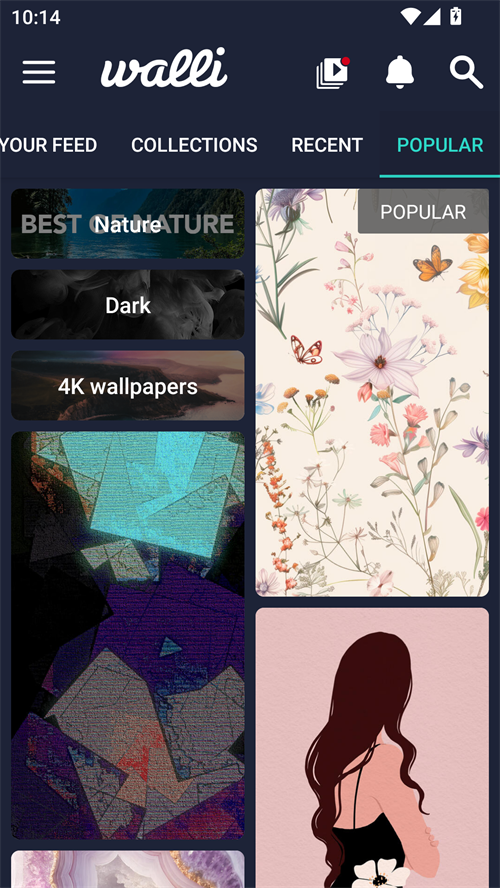 Walli壁纸官网版0