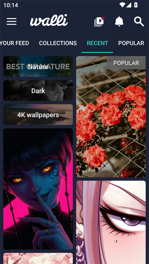 Walli壁纸官网版1