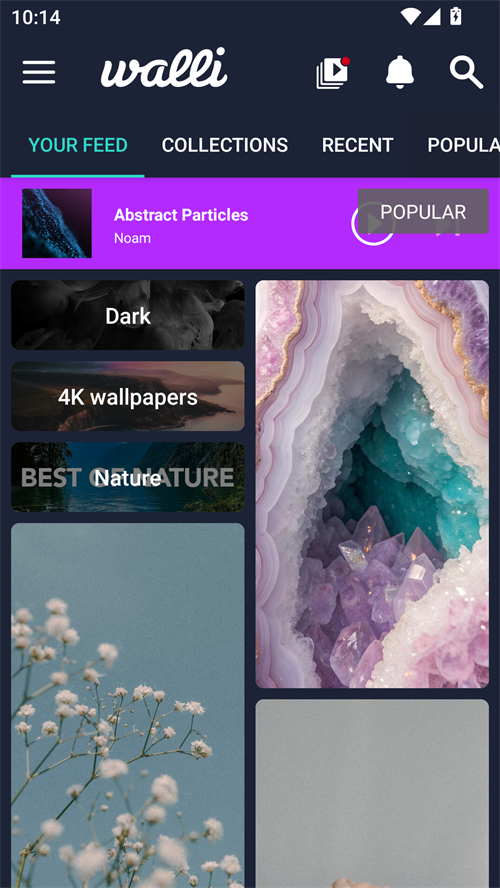 Walli壁纸官网版3