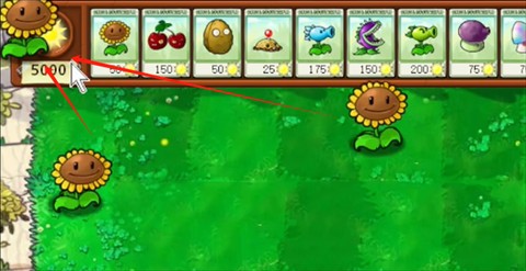 植物大战僵尸吃不了席