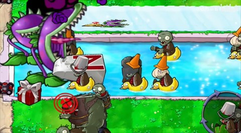 植物大战僵尸吃不了席