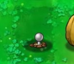 植物大战僵尸吃不了席