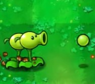 植物大战僵尸吃不了席