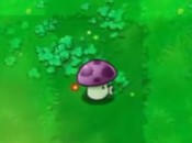 植物大战僵尸吃不了席