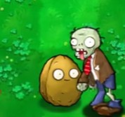 植物大战僵尸吃不了席