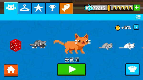 疯狂破坏猫20250