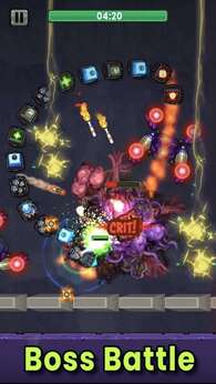 最后地带生存之战