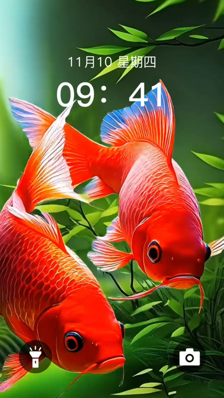 动态养鱼壁纸1