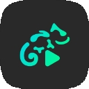 蜥蜴音乐播放器2025版