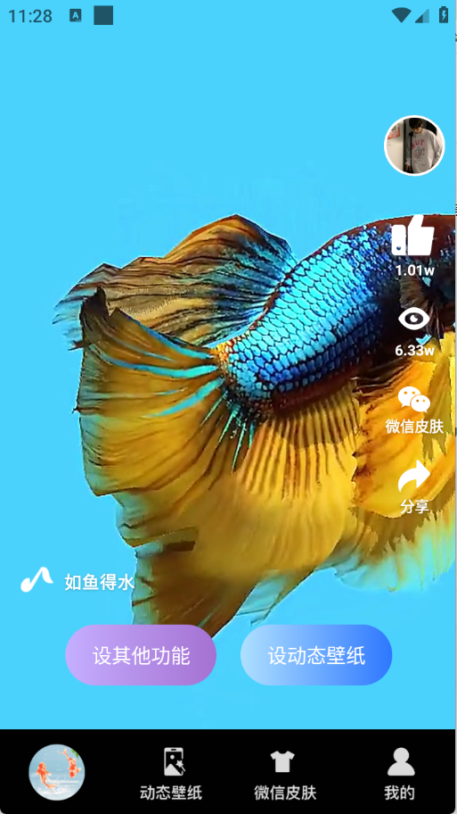 动态养鱼壁纸手机版1