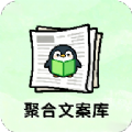 聚合文案库