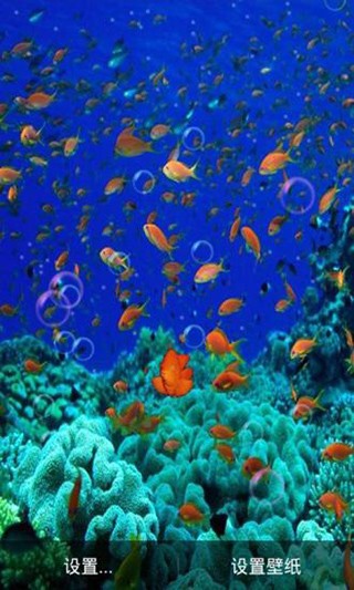 海底动态壁纸