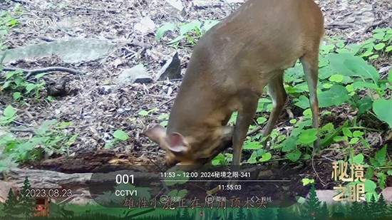 光影宝盒app官方最新版免费下载