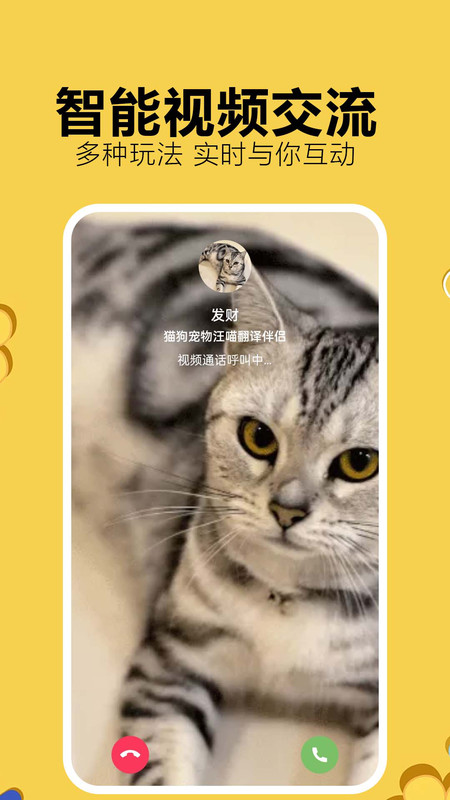 猫狗宠物汪喵翻译伴侣
