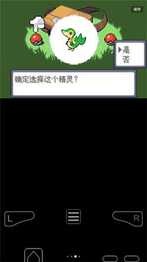 口袋妖怪漆黑的魅影5.0ex bw0