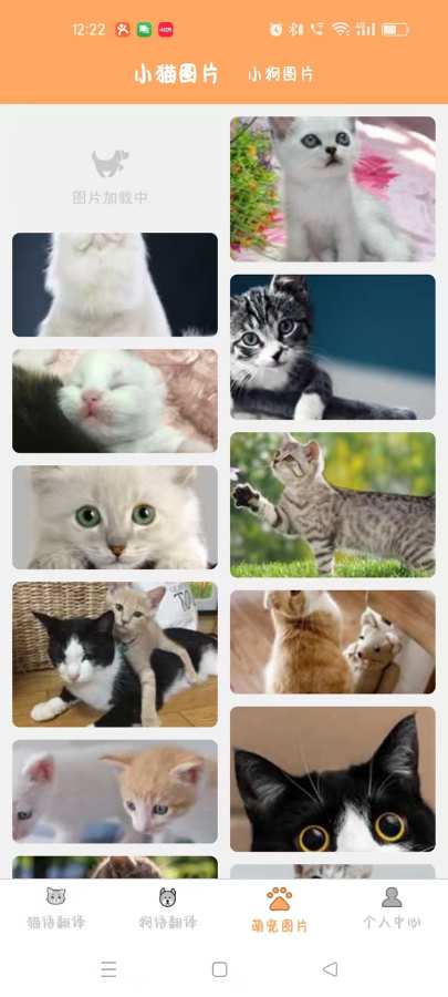 驰恺宠物翻译1.5.33