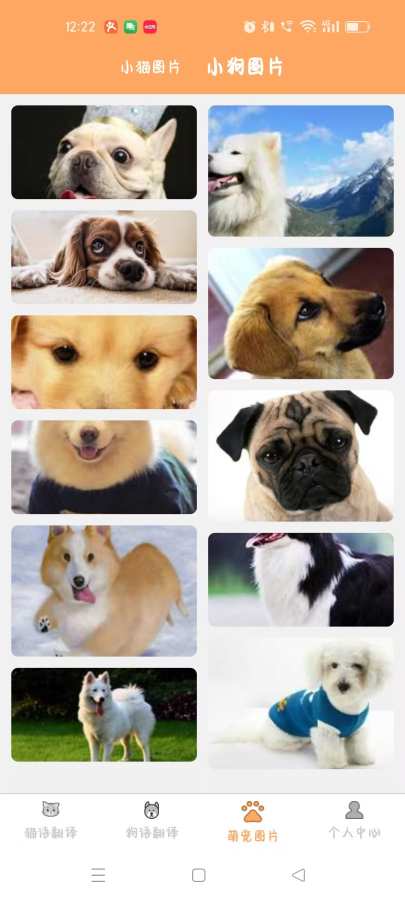 驰恺宠物翻译1.5.34