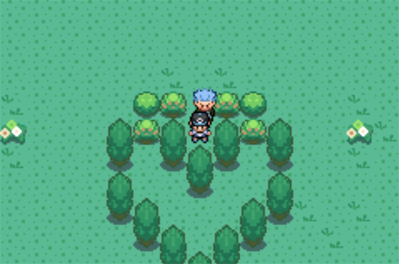 口袋妖怪日月宝石25698