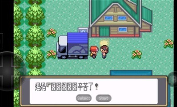 口袋妖怪黑白25701