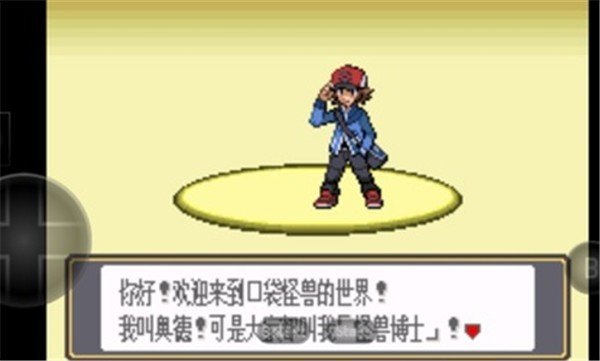 口袋妖怪黑白25701