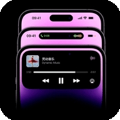 灵动胶囊免费版