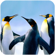 企鹅模拟器