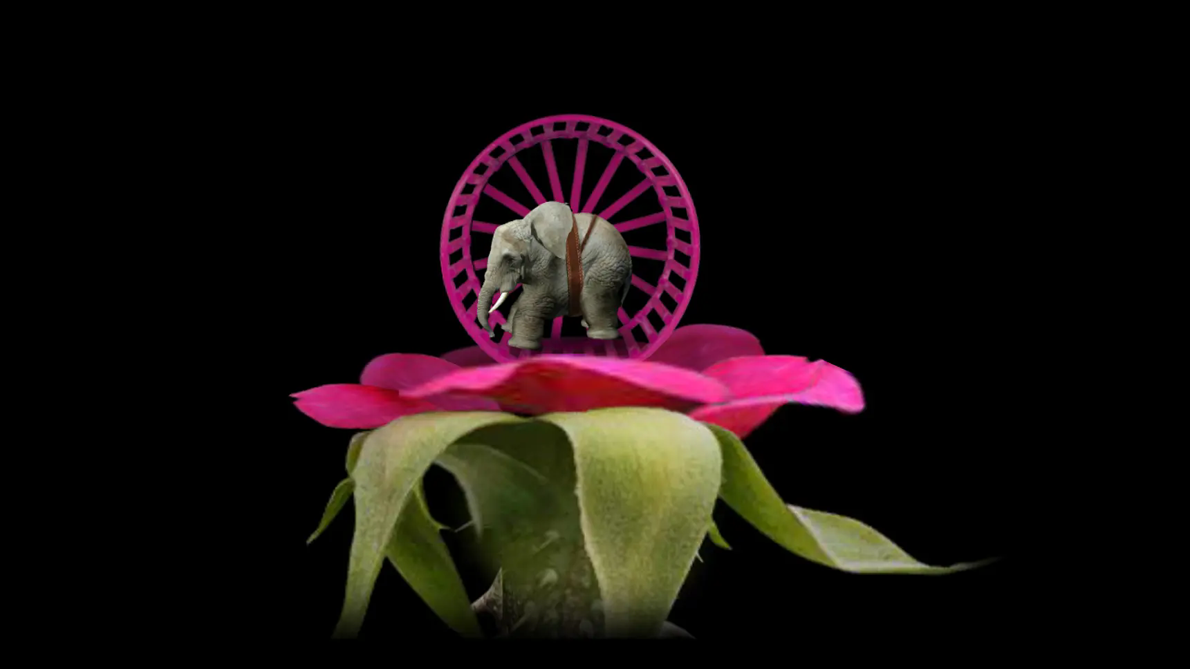 开局一颗种子游戏25957