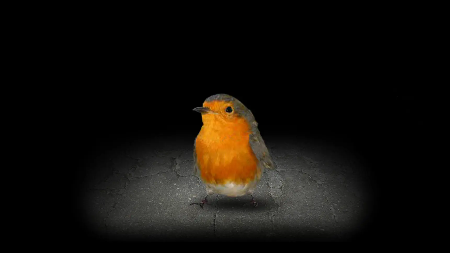 开局一颗种子游戏25957