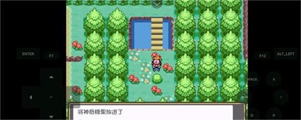 口袋妖怪燃之智汉化版20