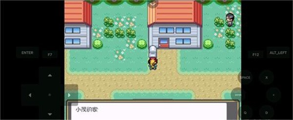 口袋妖怪燃之智汉化版19