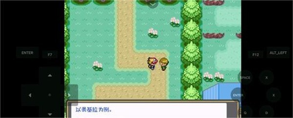 口袋妖怪燃之智汉化版21