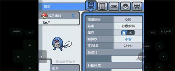 口袋妖怪燃之智汉化版22