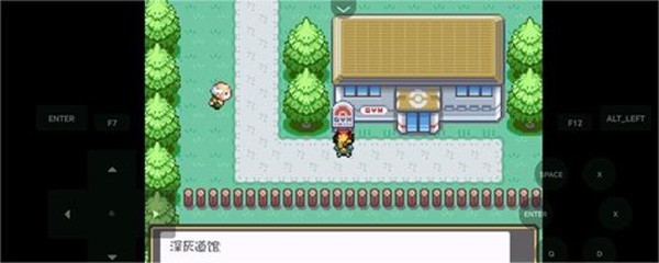 口袋妖怪燃之智汉化版24