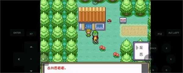 口袋妖怪燃之智汉化版26