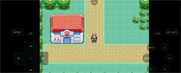 口袋妖怪燃之智汉化版27