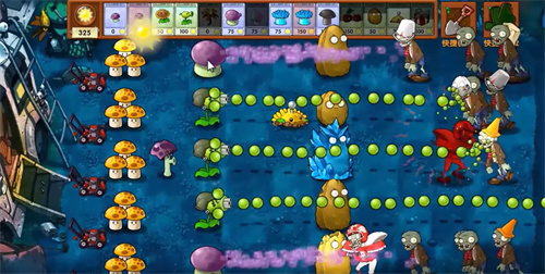 植物大战僵尸融合版斗蛐蛐5v51