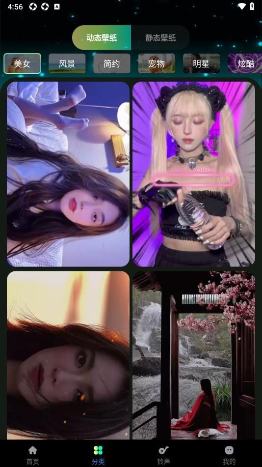 熊猫免费壁纸14290