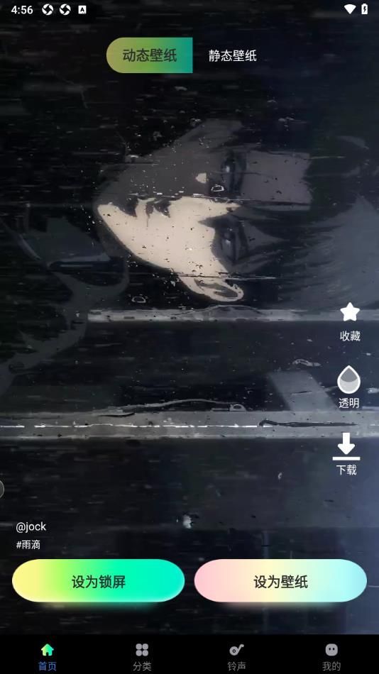 熊猫免费壁纸14290