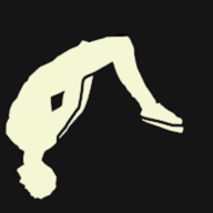 疯狂后空翻2正版