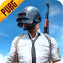 pubg先行服