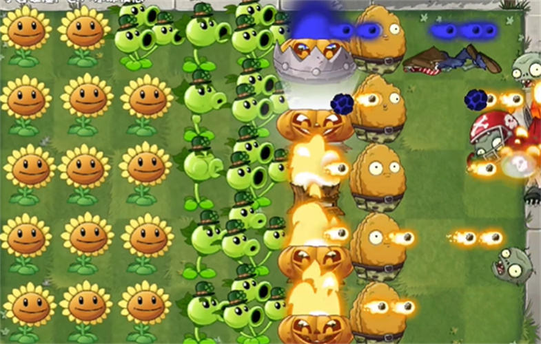植物大战僵尸进化版1