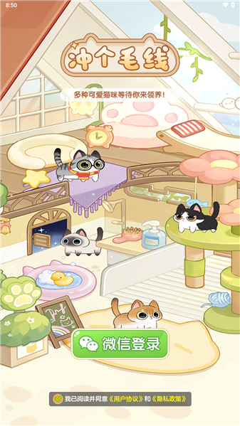 冲个毛线红包版26953