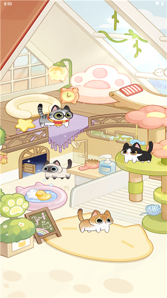 冲个毛线红包版